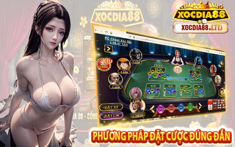 Phương pháp đặt cược đúng đắn